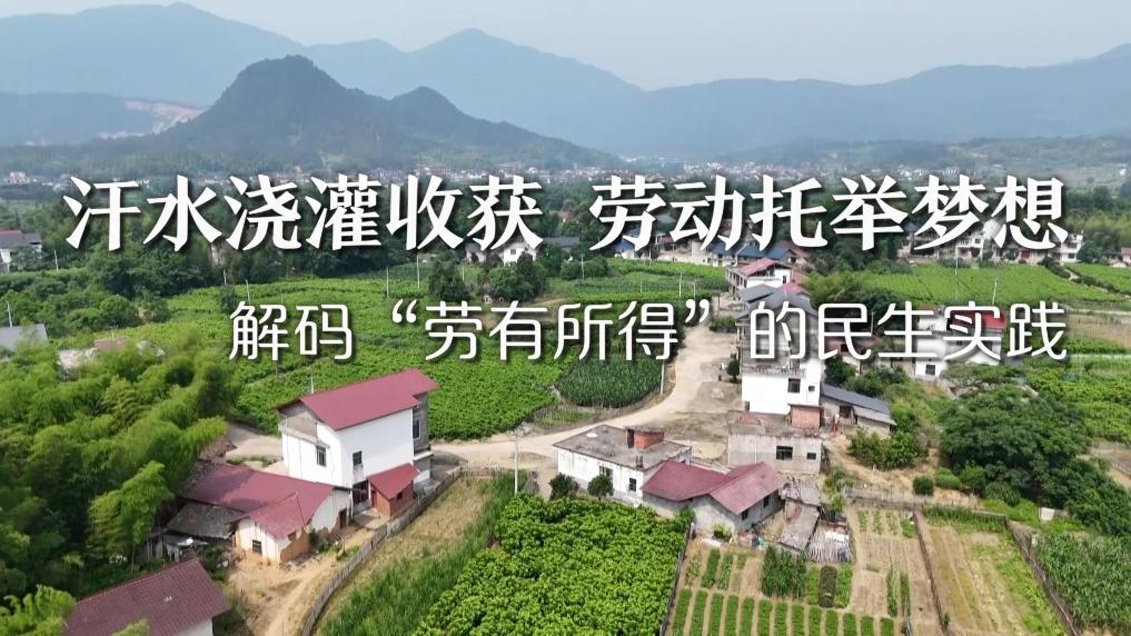 新华视点｜汗水浇灌收获 劳动托举梦想——解码“劳有所得”的民生实践