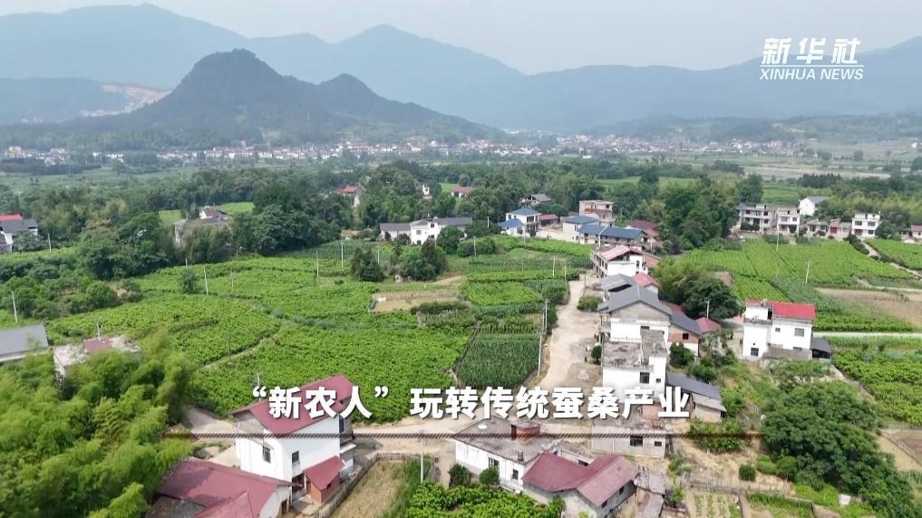 解码“劳有所得”的民生实践：“新农人”玩转传统蚕桑产业